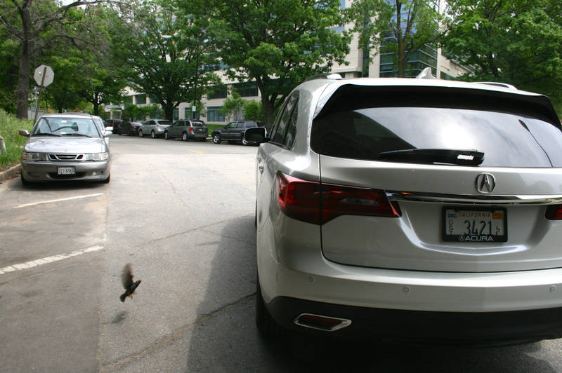 Illustration for article titled 2014 Acura MDX SH-AWD: The Truck Yeah! Review